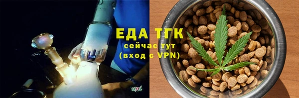 хмурый Арсеньев