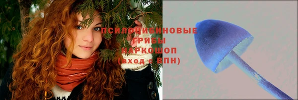хмурый Арсеньев