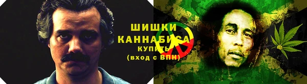 хмурый Арсеньев