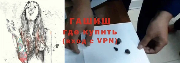 хмурый Арсеньев