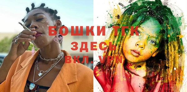 хмурый Арсеньев