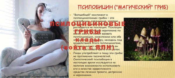 твердый Армянск