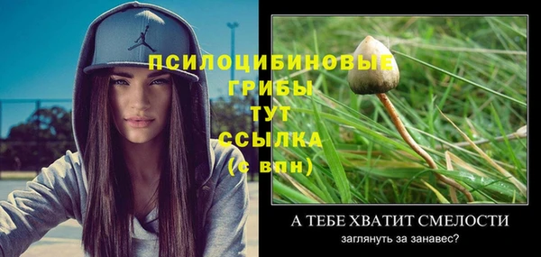 ECSTASY Аркадак